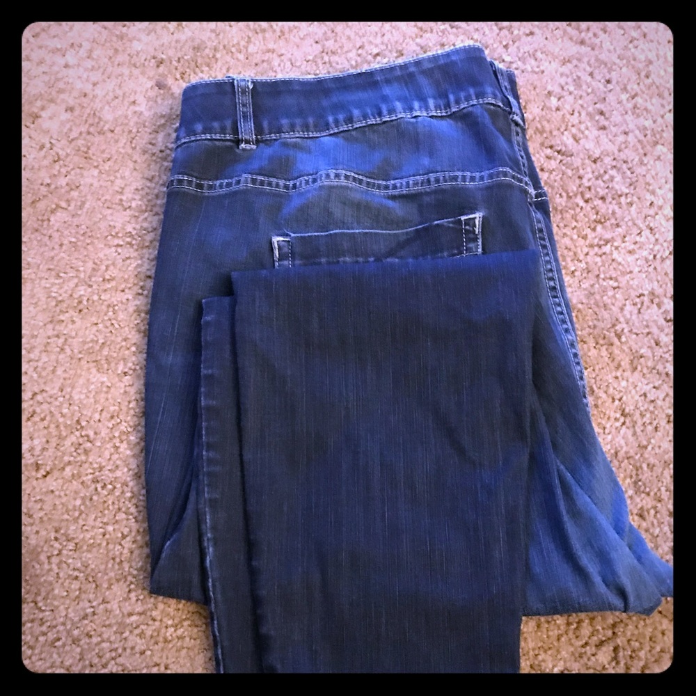 Lane Bryant Skinny Jeans